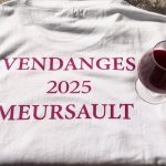 Vendanges 2025