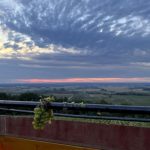 2024GrappeCielChaume