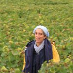 AnneMorey2017Vendanges