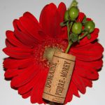 bouchonfleurrougemorey