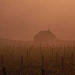 CabotteTessonsBrouillard