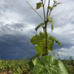 ciel orage Meursault