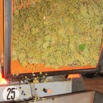 DechargementRaisins2017