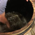 DynamisationManuelle