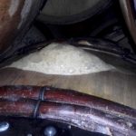 FermentationBlancEruption