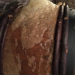 FermentationEruption