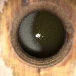 FermentationFutBonde