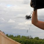 GrappePinotTombeHotte