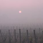 LeverSoleilBrouillard