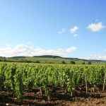 malpoiriers dressoles