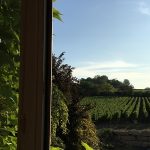 MeixTavauxMontgolfière2019