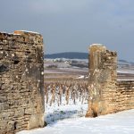 mur vigne neige