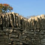 mur vignes