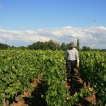 Pierre Morey Pellans