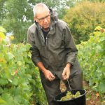 PierreMoreyVendanges2017