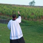 Bénédiction des vignes pour les Rogations