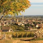 TessonsAutomne2018-1