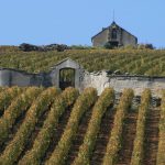 Meursault Tessons cabotte