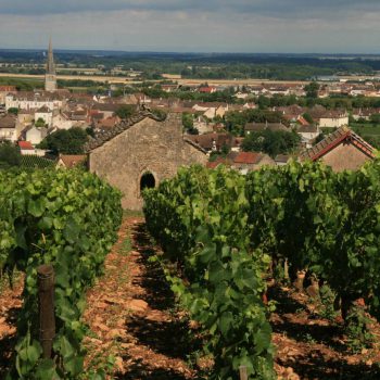 Meursault Tessons cabotte