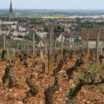 Meursault Tessons printemps