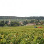 VendangesBourgogneChardonnay2017