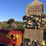 VendangesEpenots